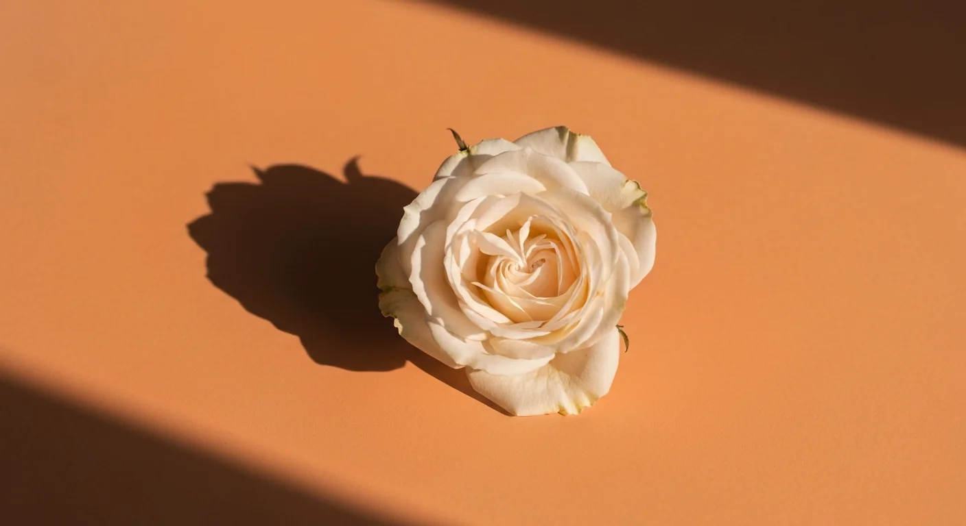 Mindfulness and Chronic Pain: The Evidence for Mind-Based Pain Management